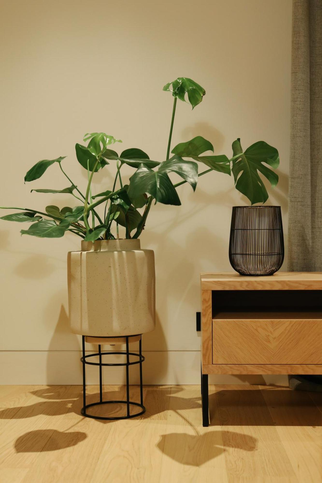MrStil Design Apartments 柏林 外观 照片